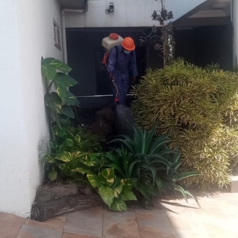 WhatsApp Image 2022-12-22 at 20.56.20